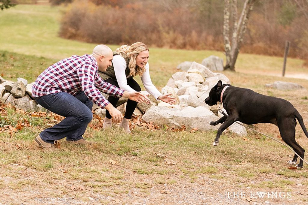 Engagement session pictures with dog inspiration!
