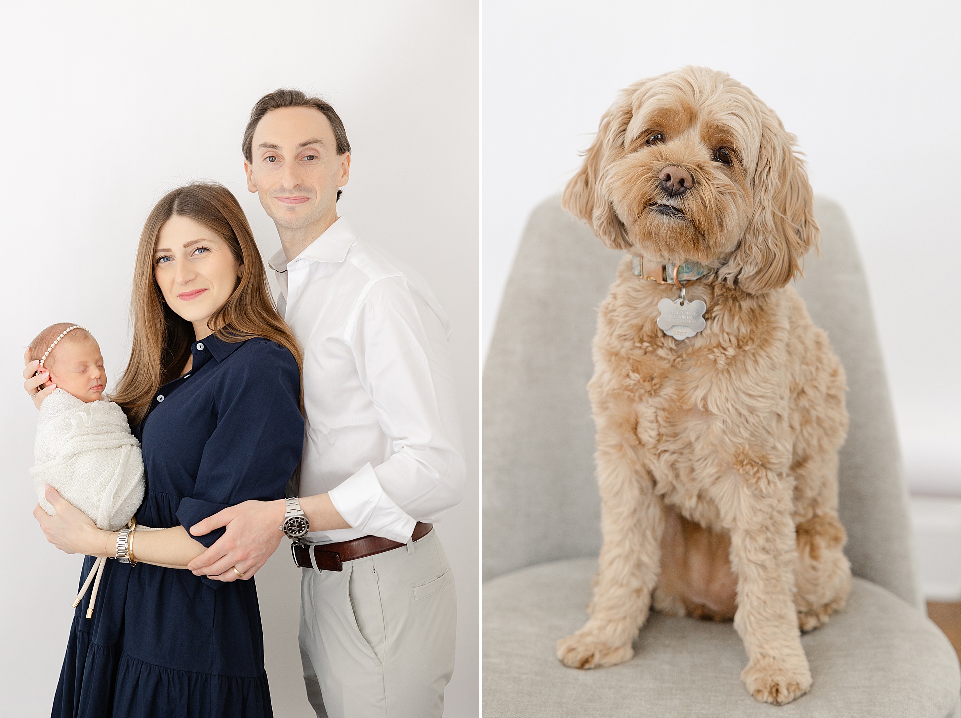 Beacon Hill Newborn Photographer - in-home luxury newborn session, natural light photographer simple modern newborn portraits, newborn session with dog