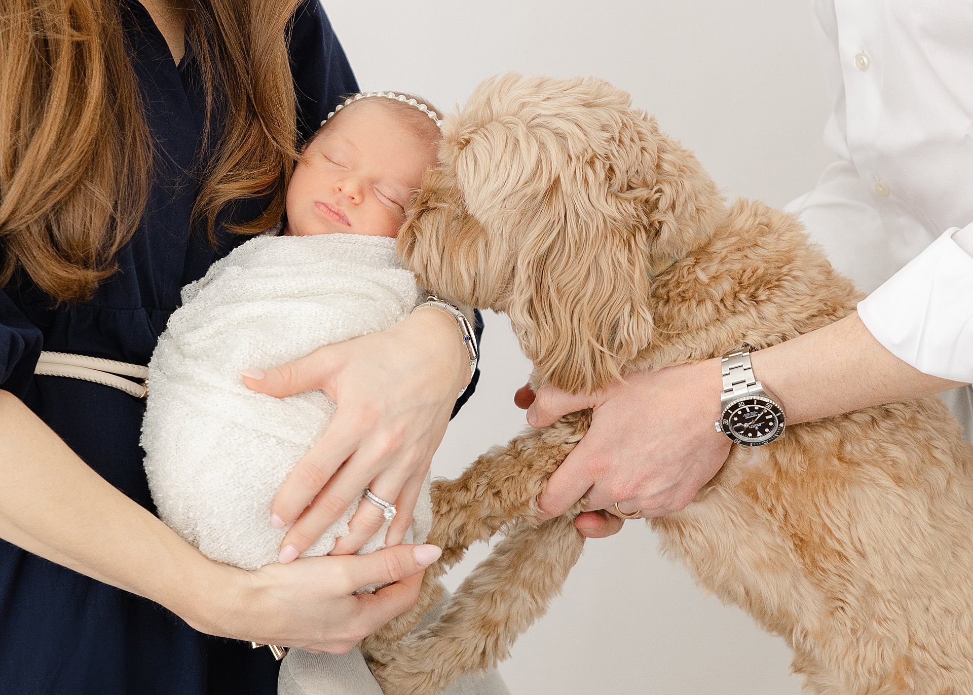 Beacon Hill Newborn Photographer - in-home luxury newborn session, natural light with dog.