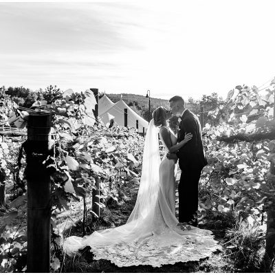 LaBelle Winery Wedding