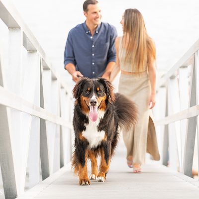 A fun engagement session idea for people with dogs is to bring the dog to the session! This East Boston couple brought their Bernese Mountain Dog for part of their engagement pictures.